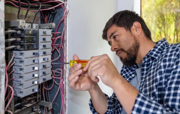 Best Electrical System Inspection  in Tybee Island, GA